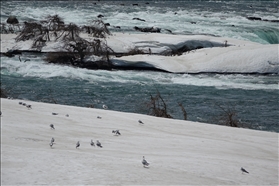 Niagara Falls